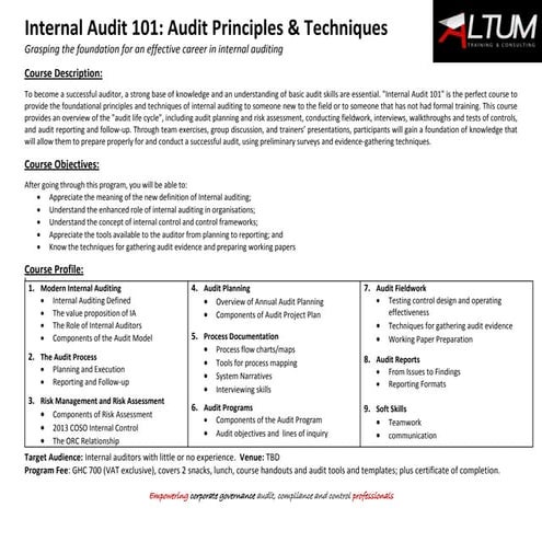 01 internal audit 101   principles and techniques