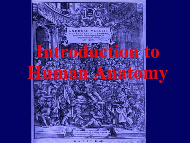 Anatomy Introduction
