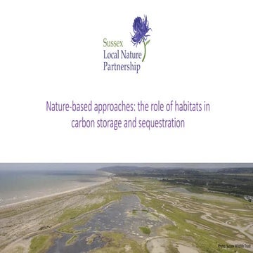 Nature-based Approaches