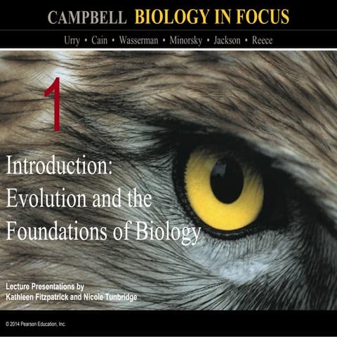 01lecturepresentation 150831030832-lva1-app6891