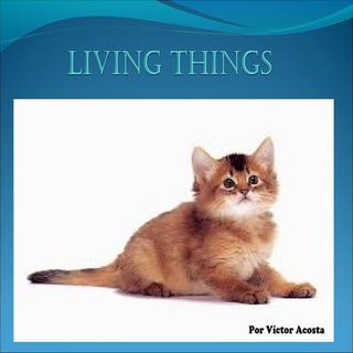  living things  by  victor acosta