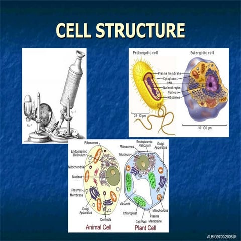 01 Microscope in cell studies
