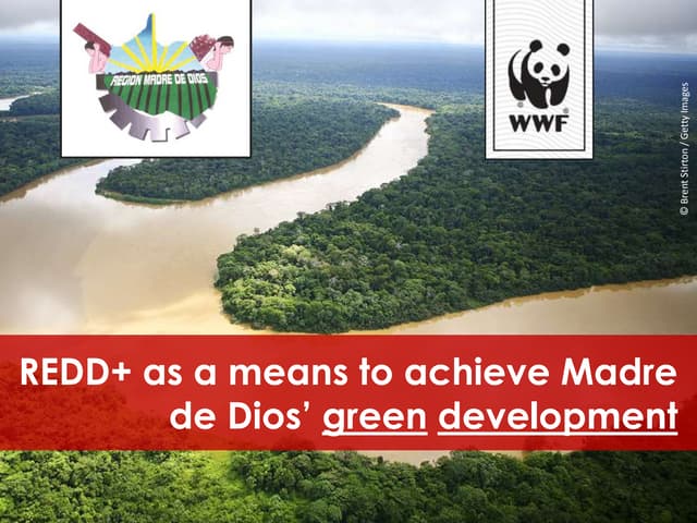 REDD+ as a means to achieve Madre de Dios’ green development 