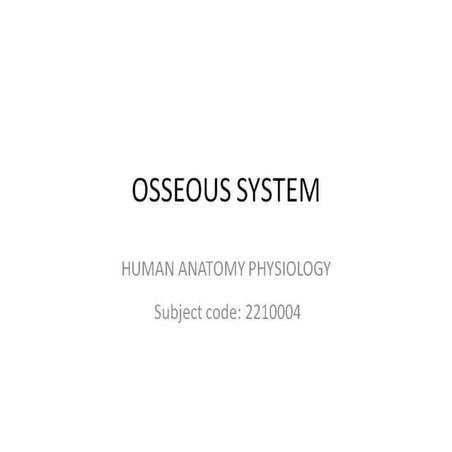 osseous system