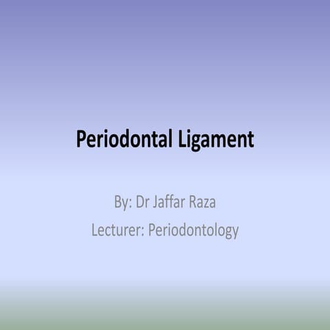 periodontal ligament