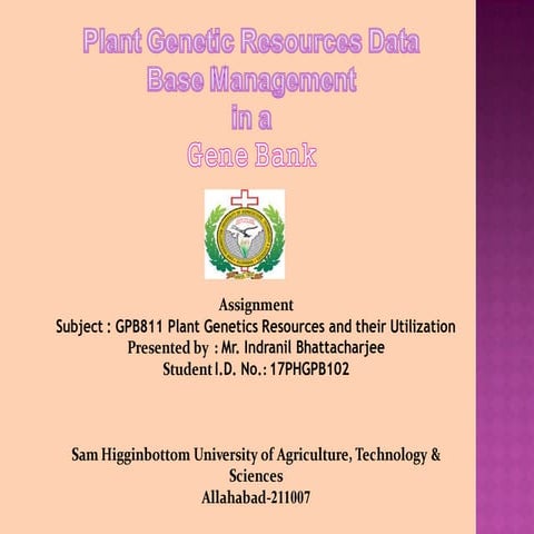 01 pgr data base management