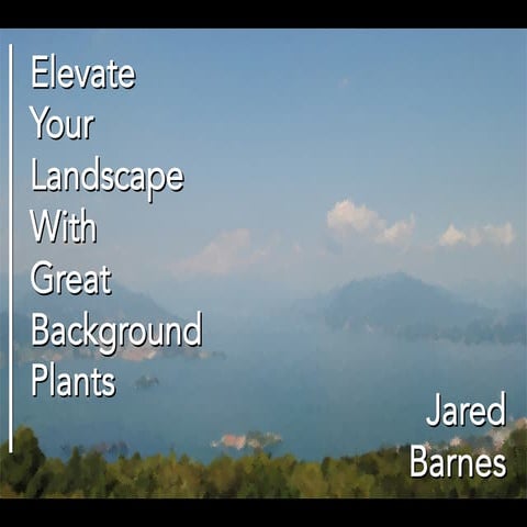 Elevate Your Landscape with Great Background Plants 