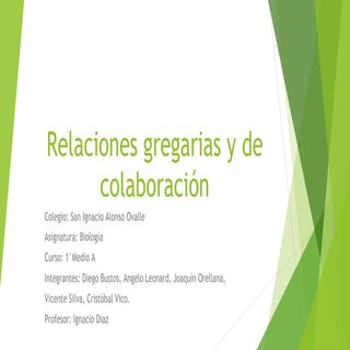 Relaciones gregarias y de colaboración