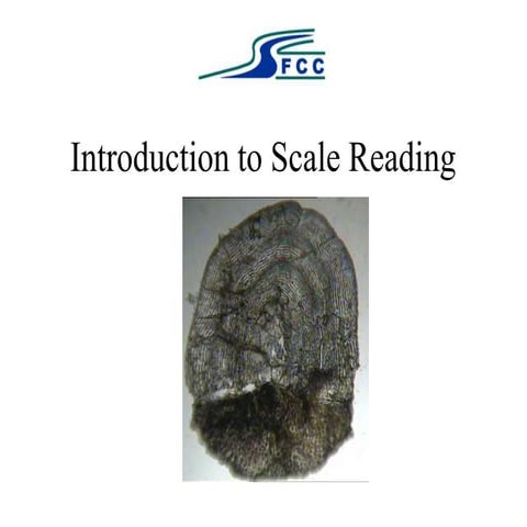 SFCC Introduction to Scale Reading - 2017