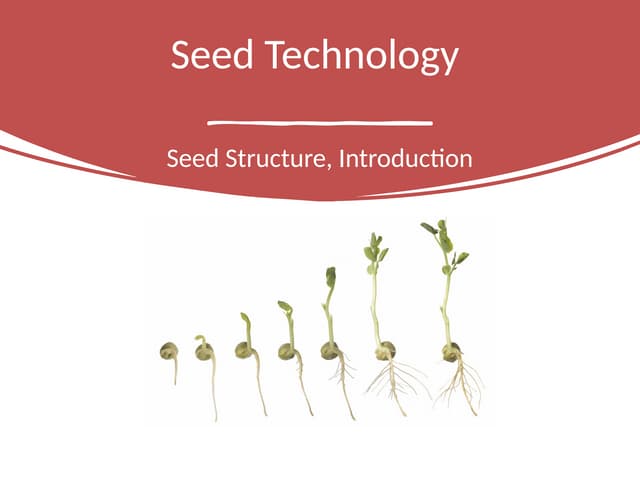 Importance of seed, seed structure & function ”.pptx