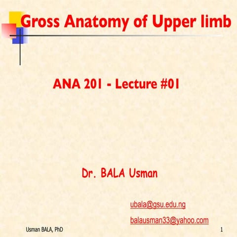 GROSS ANATOMY OF HUMAN UPPER LIMB WITH INNERVATIONS | PDF