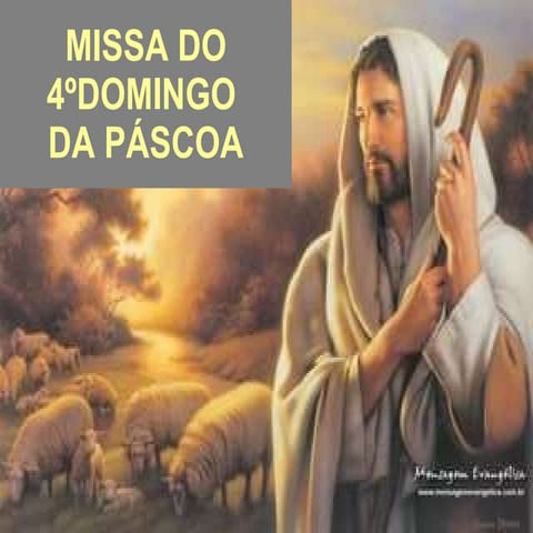 Aniversário da Congregação Cavanis