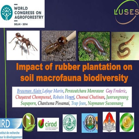 The Impact of Rubber Trees Plantations on Soil Functional Biodiversity and So...