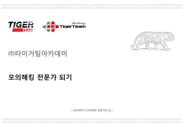 모의해킹 전문가 되기