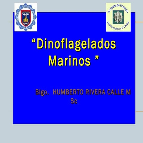 02.dinoflagelados marinos por-humberto-rivera-calle