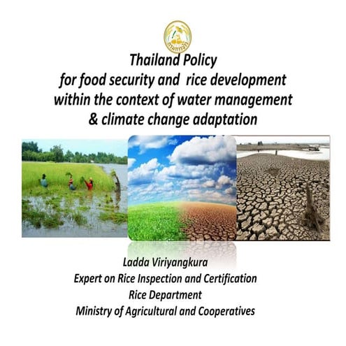 Policy for Food Security & Sustainable Agriculture/Rice Development in Contex...