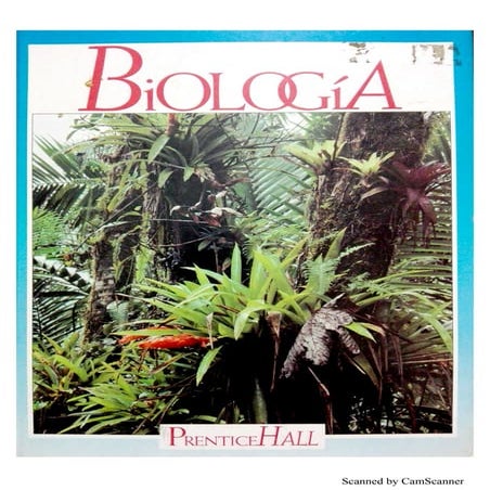 Los reptiles y las aves