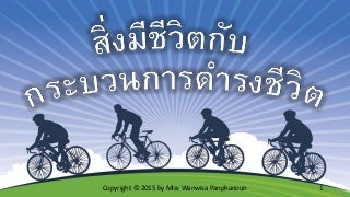 สิ่งมีชีวิตกับกระบวนการดำรงชีวิต ประถม