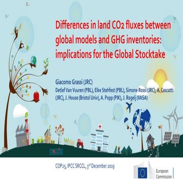 Differences in land CO2 fluxes between global models and country GHG inventor...