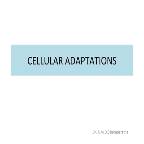 01.Cellular Adaptations in human body.pdf