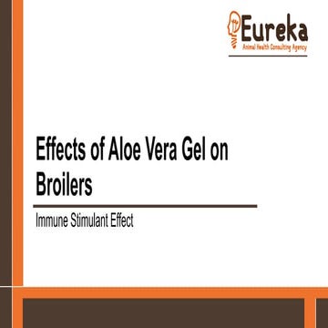 Alo Vera Immune Stimulant Effect in Poultry