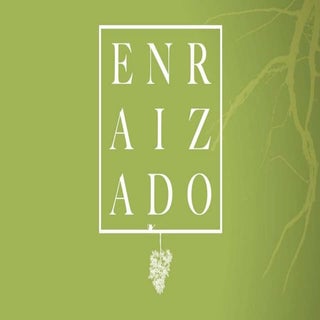 Aprofundando suas Raízes