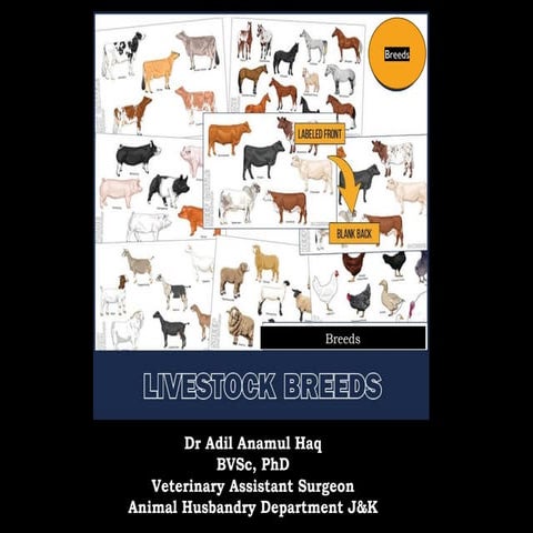 02-Breedsaaaaaaaaaaaaaaaaaaaaaaaaaaa.pptx