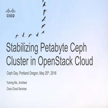 Journey to Stability: Petabyte Ceph Cluster in OpenStack Cloud