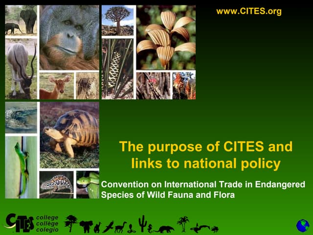 CITES Purpose and Policy
