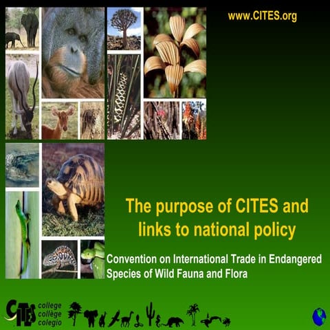 CITES Purpose and Policy