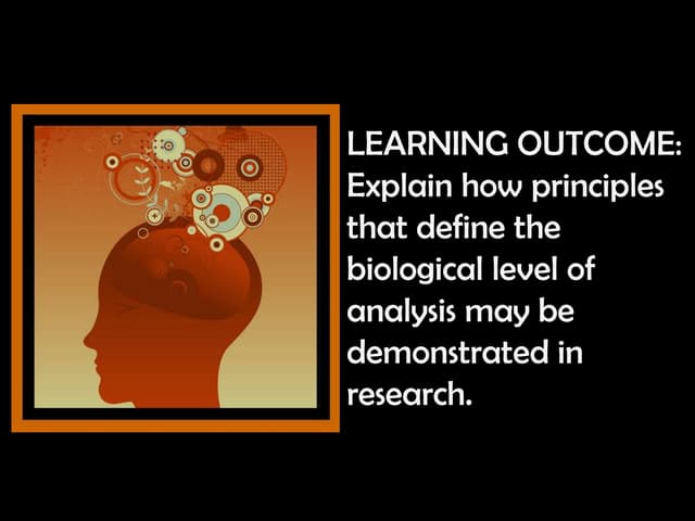 Biological principles in research overview