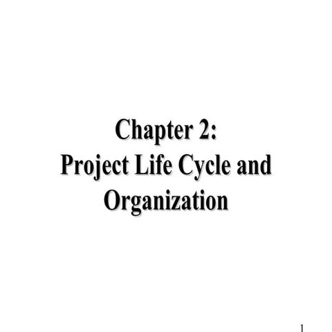 02  project life cyce and organization