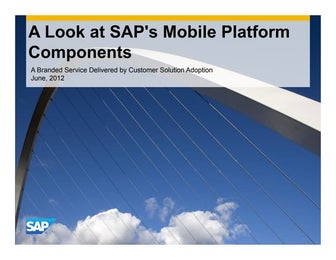 SAP Mobile Platform Architecture and Strategy