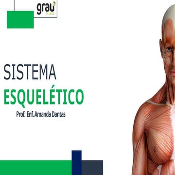Comprehensive Overview of the Human Skeletal System: Structure ...