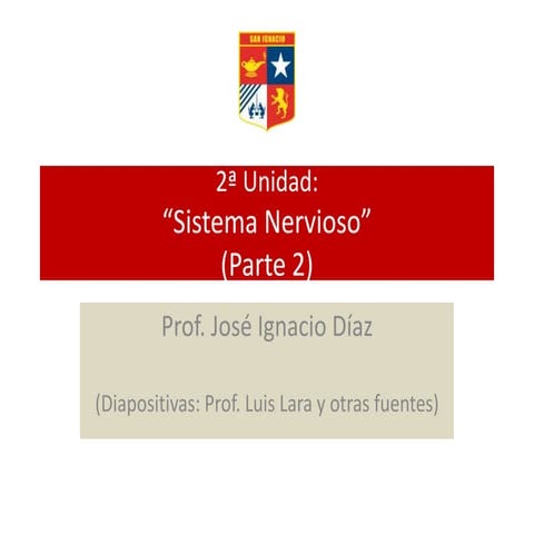 Sistema Nervioso - Parte 2