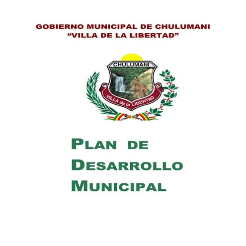 PDM Chulumani | PDF