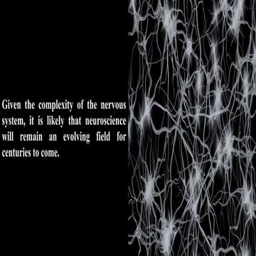 CNS development / CNS development / CNS development .pdf