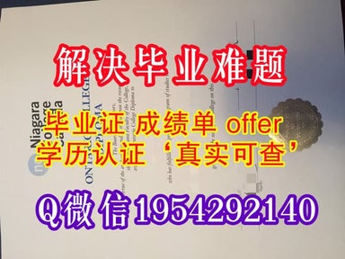 Brandeis University Diploma