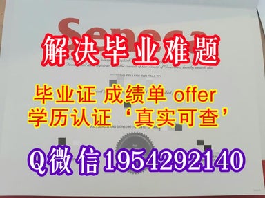 University of Iowa Diploma