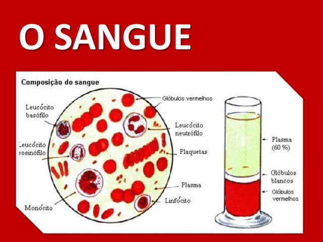 Constituição do sangue