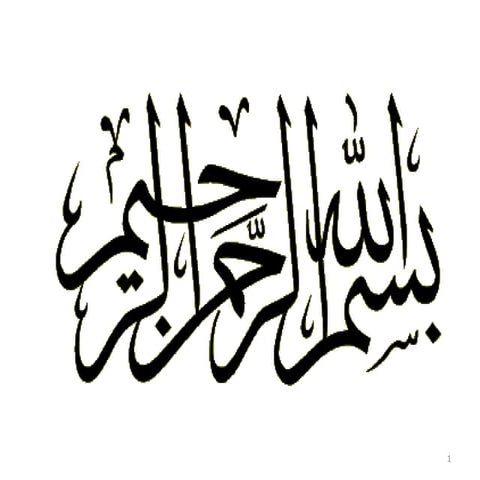 NIAZ Presentation_ENV Issue