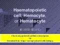 Haematopoietic cell, Hemocyte, or Hematocyte or blood cells