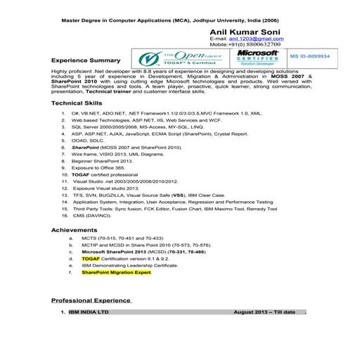 Anil Soni Experienced Professional