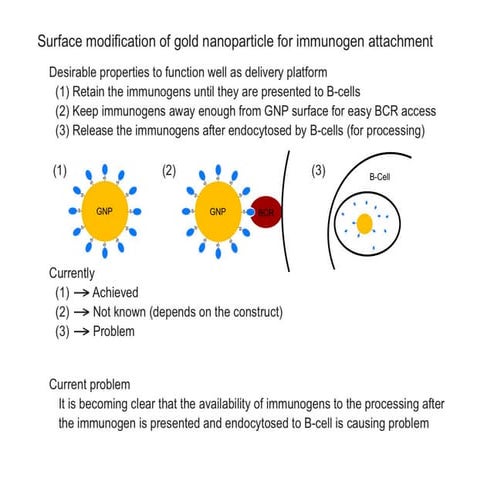 Payload Attachment Chemistry and Payload Design