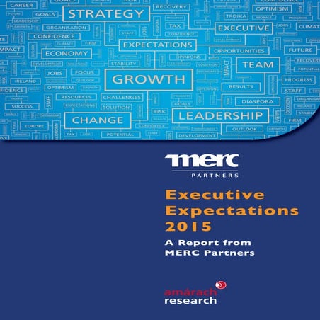 MERC-Partners-Executive-Expectations-2015