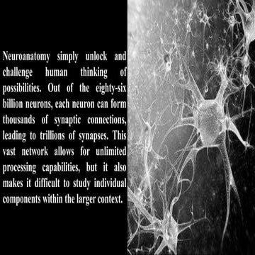 Autonomic flow/ Autonomic flow/ Autonomic flow.pdf