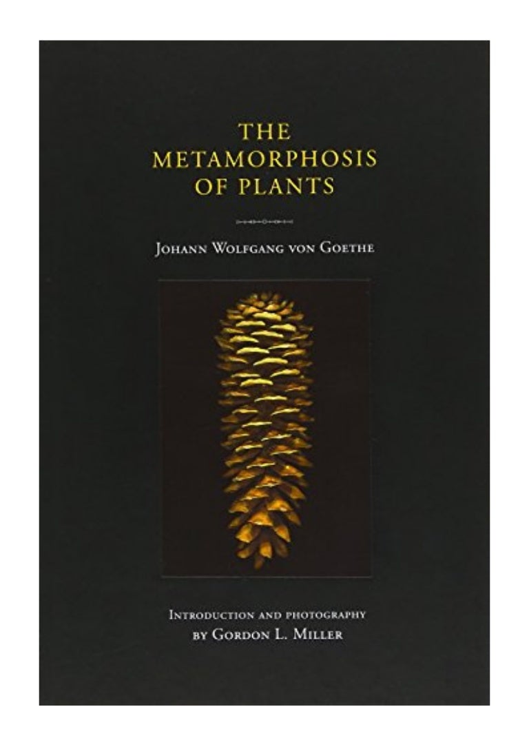 The Metamorphosis Of Plants By Johann Wolfgang Von Goethe – FBQA