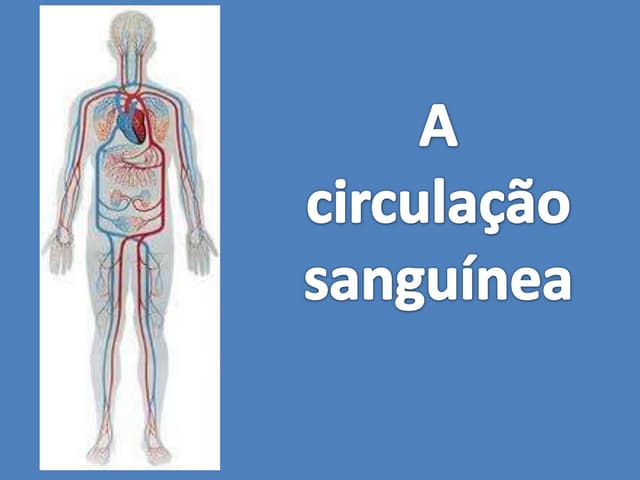 Tipos de circulação sanguínea