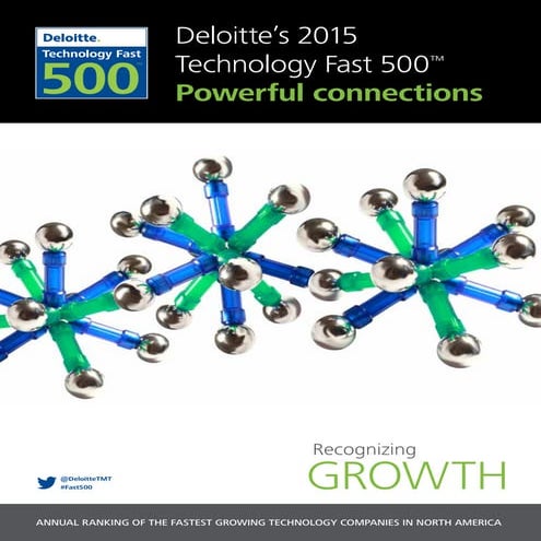 Technology-Fast-500-Winners-Brochure.PDF