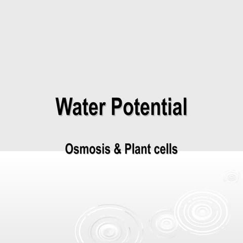 ubaidafzal018@gmail.com